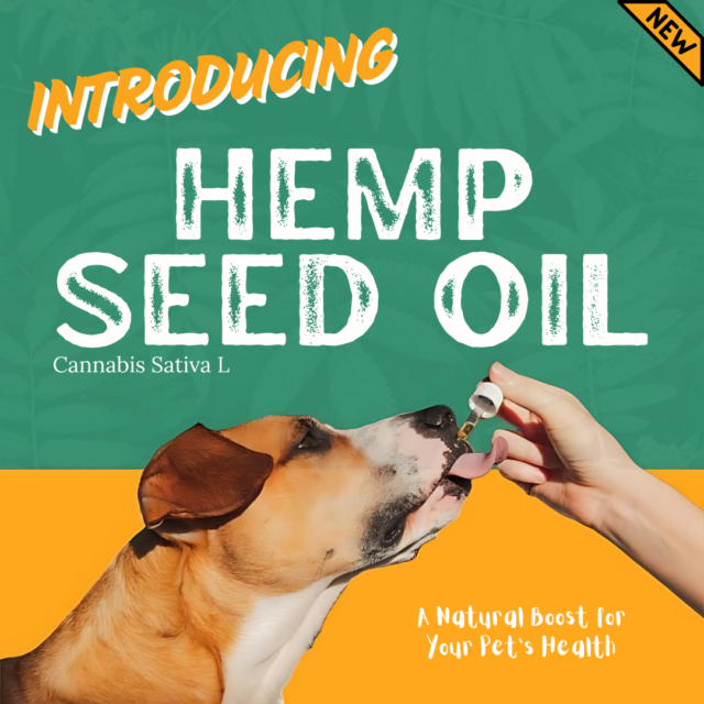 - BFAB Hemp Seed Oil for Dogs and Cats: A Natural Health Booster - Image 2