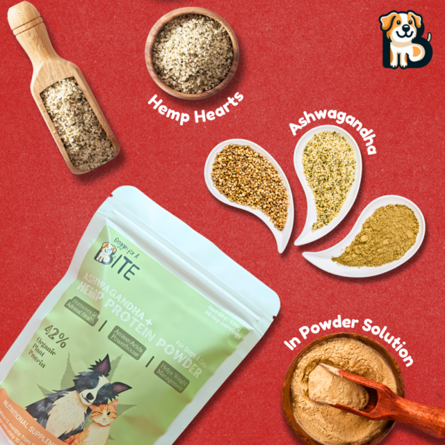 BFAB Ashwagandha + Hemp Seed Protein & Oil Ultimate Pack - Image 4