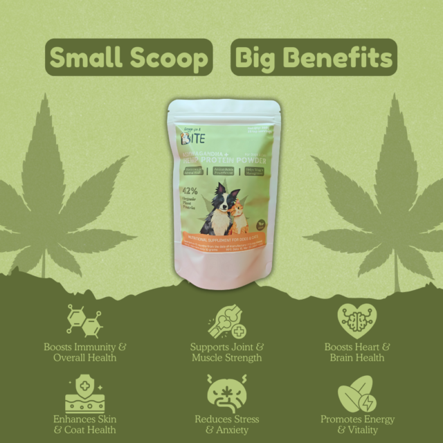 BFAB Ashwagandha + Hemp Seed Protein & Oil Ultimate Pack - Image 2