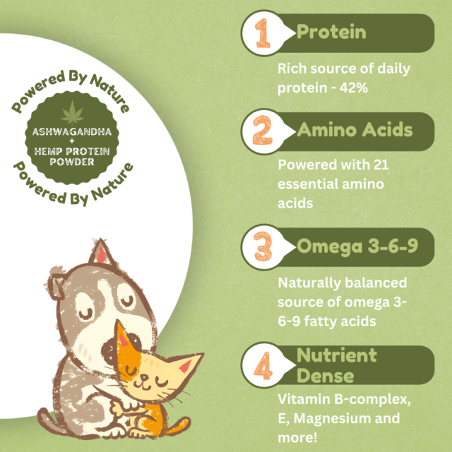 BFAB Ashwagandha + Hemp Seed Protein & Oil Ultimate Pack - Image 6