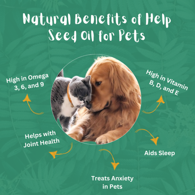 - BFAB Hemp Seed Oil for Dogs and Cats: A Natural Health Booster - Image 3