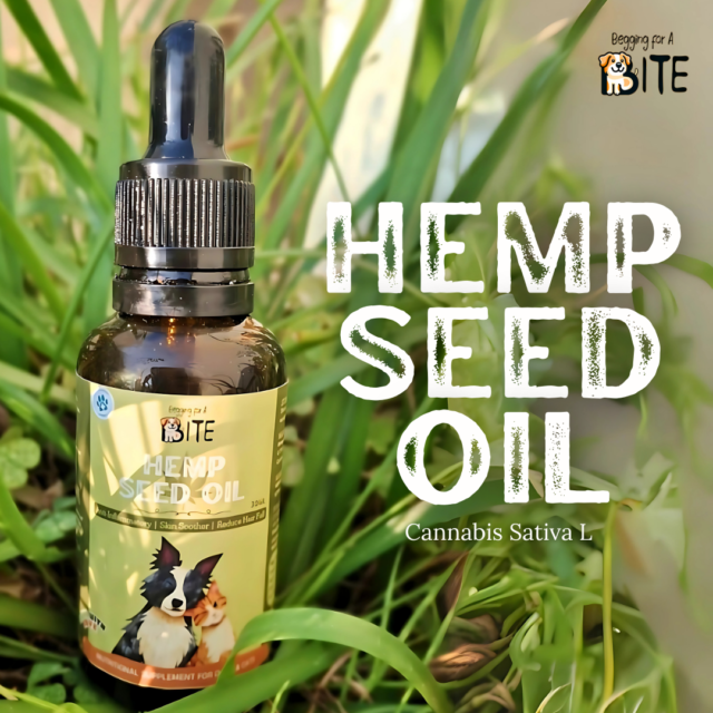 - BFAB Hemp Seed Oil for Dogs and Cats: A Natural Health Booster