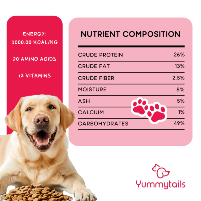 Yummytails Adult Dog Food - Image 5