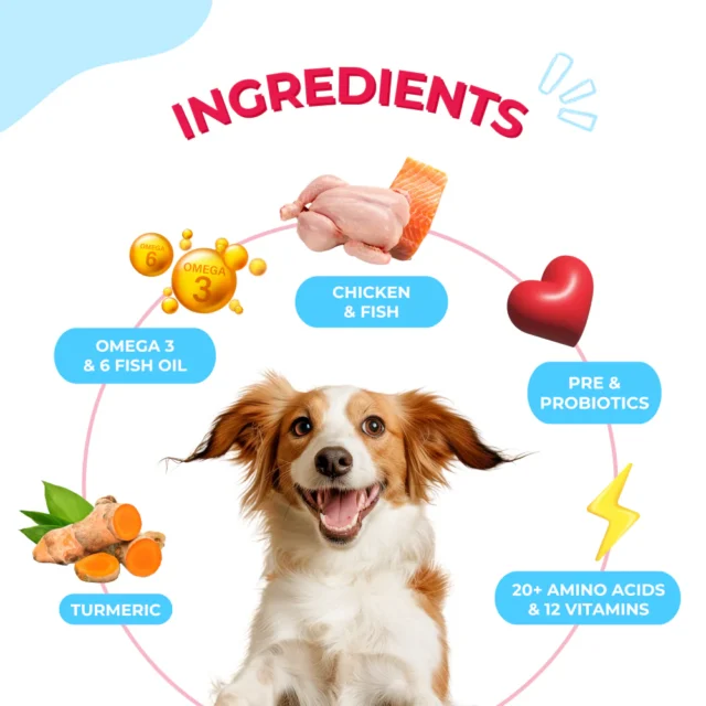 Yummytails Mother and Puppy Dog Food Kibble - Image 5