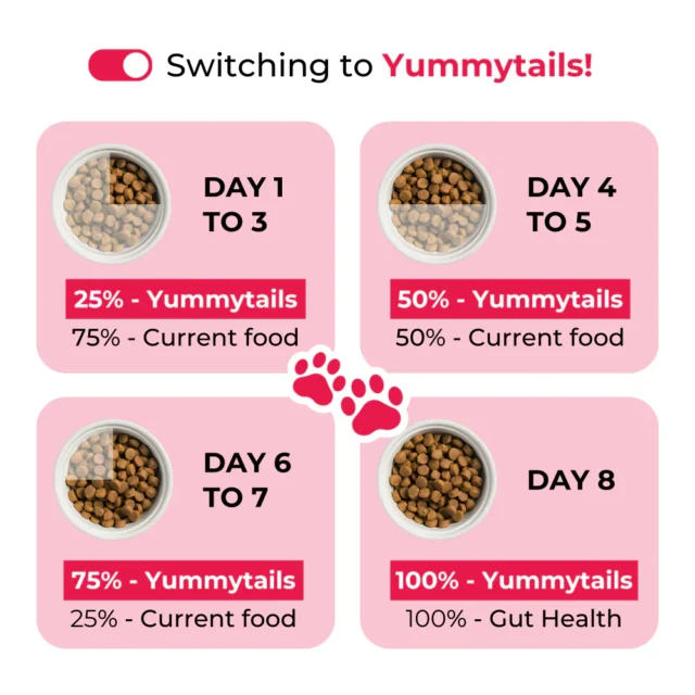 Yummytails Adult Dog Food - Image 4