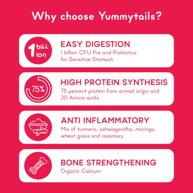 Yummytails Adult Dog Food - Image 6