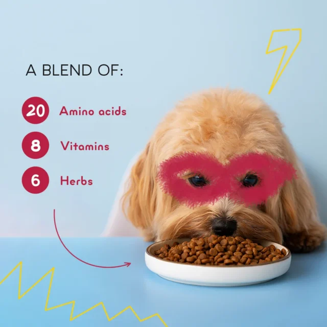 Yummytails Adult Dog Food - Image 8