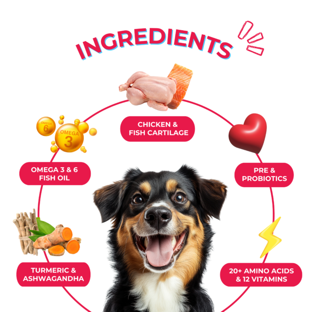 Yummytails Adult Dog Food - Image 7